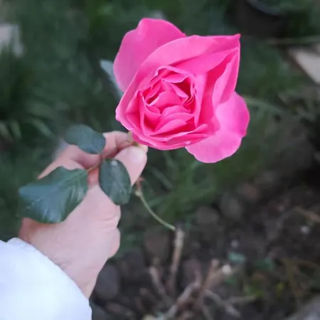 Villa An Tale, Dream,bosphorus