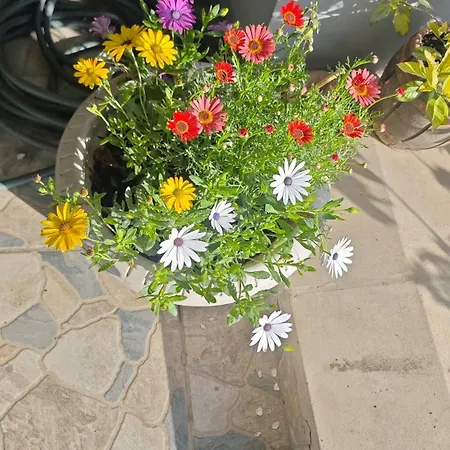 An Tale, Dream,bosphorus * Istambul