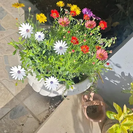 An Tale, Dream,bosphorus * Istambul