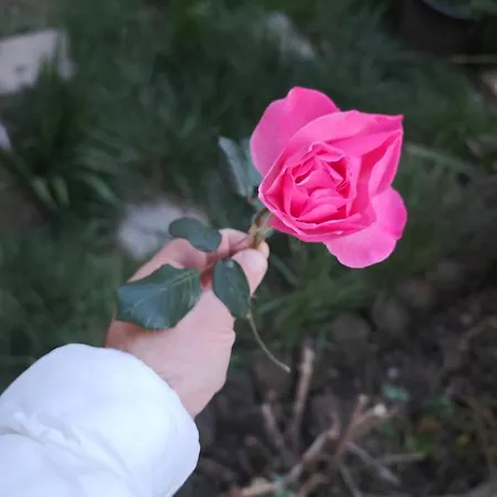 Villa An Tale, Dream,bosphorus