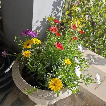 An Tale, Dream,bosphorus Villa *