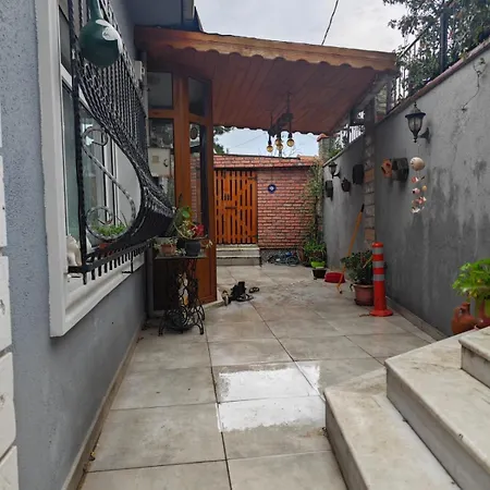 An Tale, Dream,bosphorus