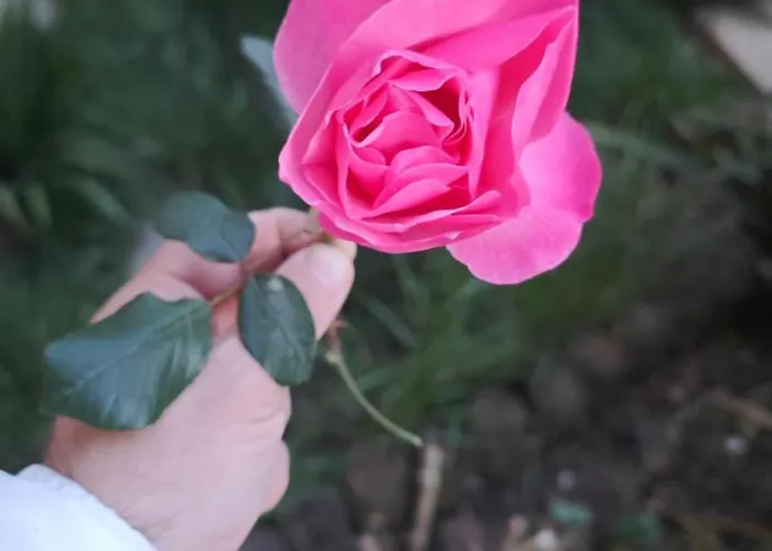 别墅 An Tale, Dream,bosphorus