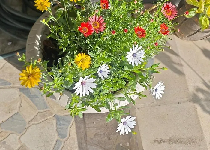 An Tale, Dream,bosphorus * 伊斯坦布尔