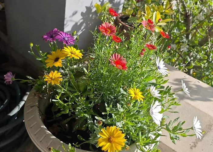 An Tale, Dream,bosphorus 别墅 *