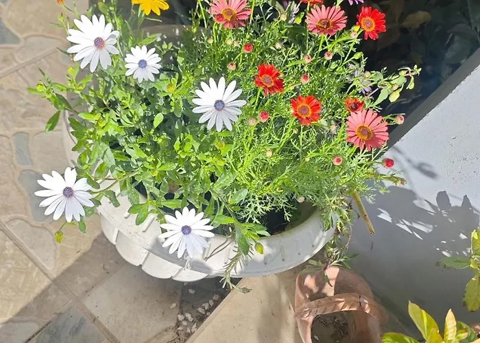 An Tale, Dream,bosphorus * 伊斯坦布尔