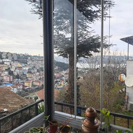 An Tale, Dream,bosphorus Villa *